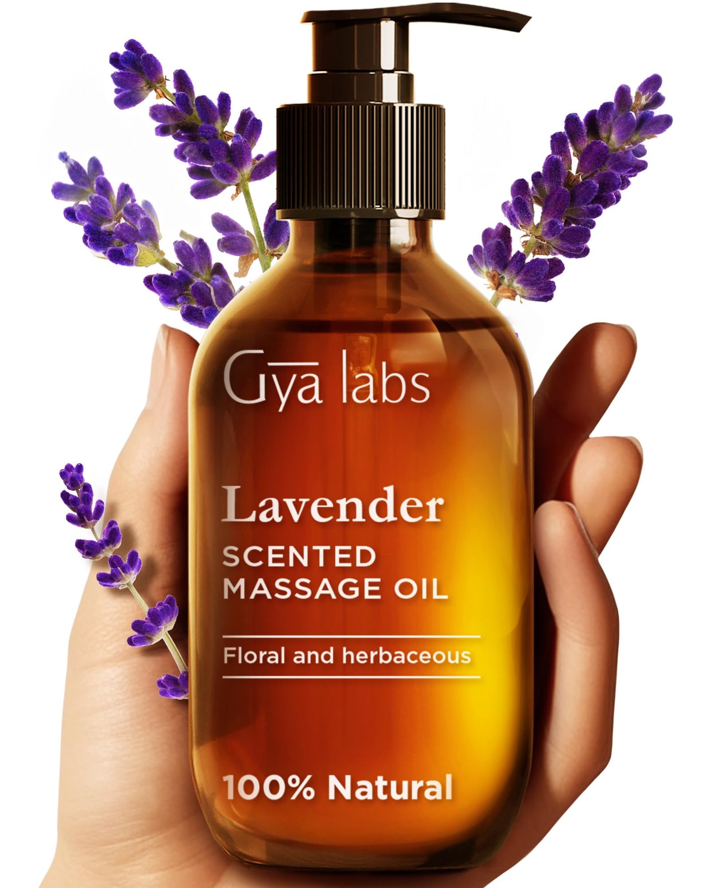 Gya Labs Lavendel Massageöle - 100% Reines Natürliches Aromatherapie Massageöl zur Körperentspannung für Männer und Frauen - Hergestellt mit Jojoba, Argan und Lavendel