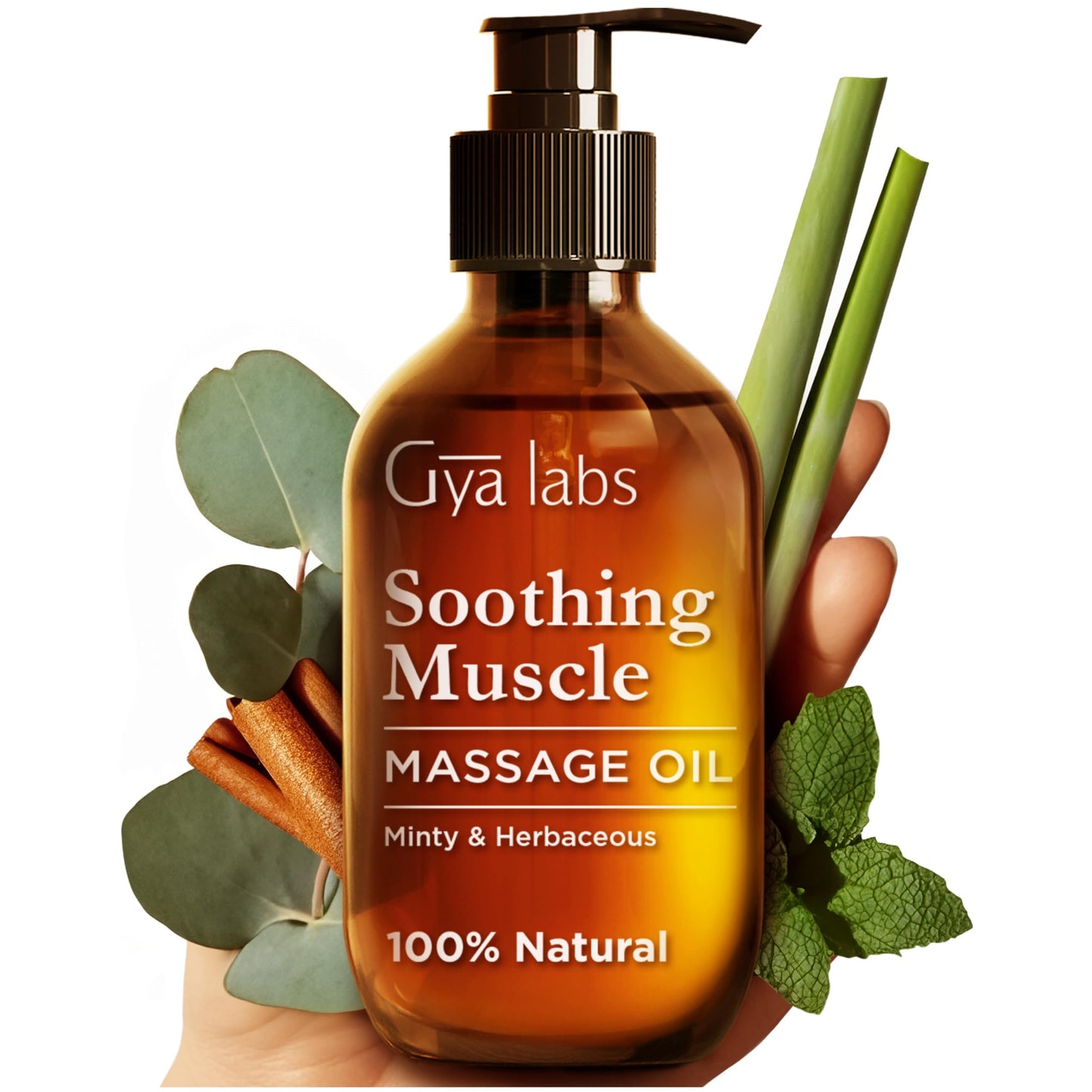 Gya Labs Lavendel Massageöle - 100% Reines Natürliches Aromatherapie Massageöl zur Körperentspannung für Männer und Frauen - Hergestellt mit Jojoba, Argan und Lavendel