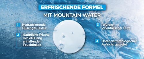 L'Oréal Men Expert Duschgel und Shampoo für Männer, Duschbad zur Reinigung von Körper, Haar und Gesicht, Herren Körperpflege für hydratisierte Haut mit Mountain Water, Hydra Power, 1 x 250 ml