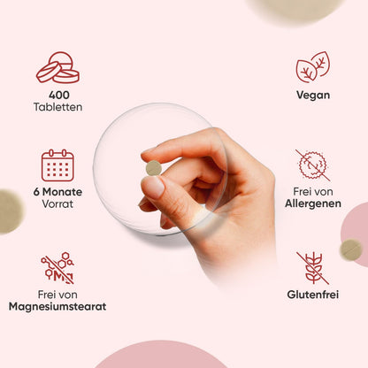 Eisen 400 Tabletten (6+ Monatsvorrat) - Eisenpräparate für Frauen & Männer - Eisen-Bisglycinat-Form - Nicht-GMO & Vegan