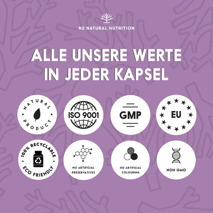 Marine collagen hydrolysate capsules high-dose hyaluronic acid, vitamin C. Joint bone and skin care, anti-ageing. Premium Peptan collagen 90 Vegetable capsules CE. N2 Natural Nutrition