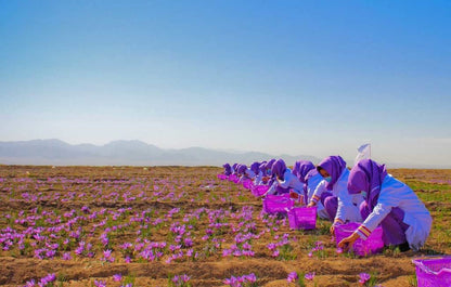 Gourmetia Saffron, Premium Quality Saffron Threads, 5 g