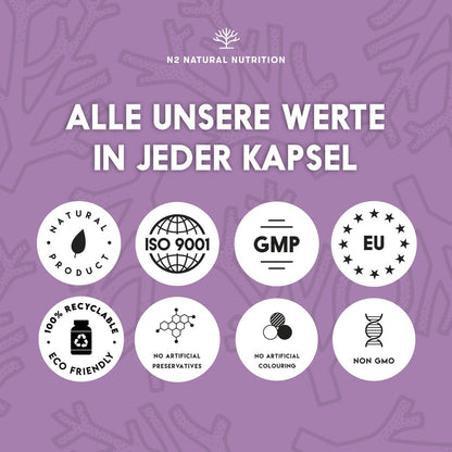 Marine collagen hydrolysate capsules high-dose hyaluronic acid, vitamin C. Joint bone and skin care, anti-ageing. Premium Peptan collagen 90 Vegetable capsules CE. N2 Natural Nutrition