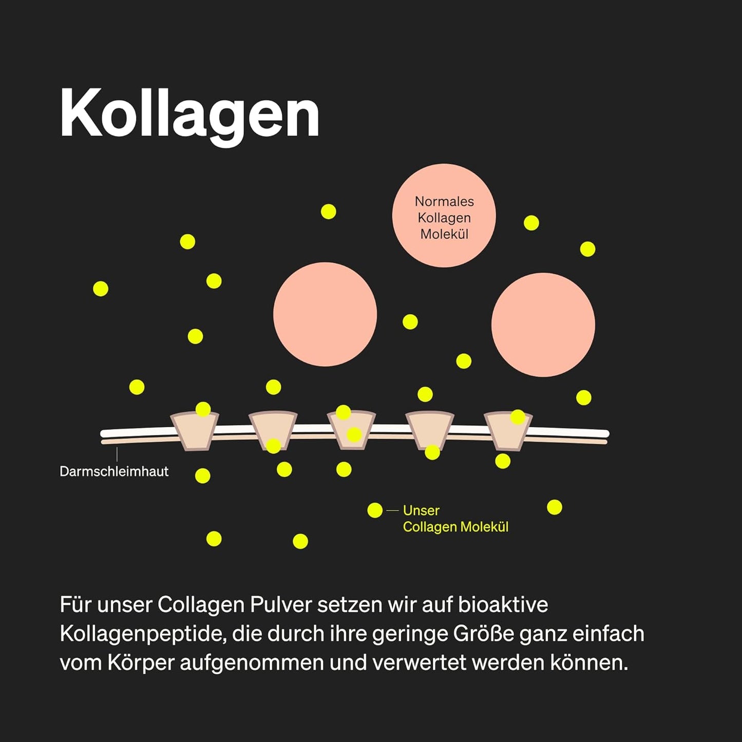 Hyaluronic Acid Collagen Complex – 180 Capsules – Enriched with Biotin, Selenium, Zinc, Vitamin C from Acerola & Bamboo Extract – Laboratory Tested & Made in Germany