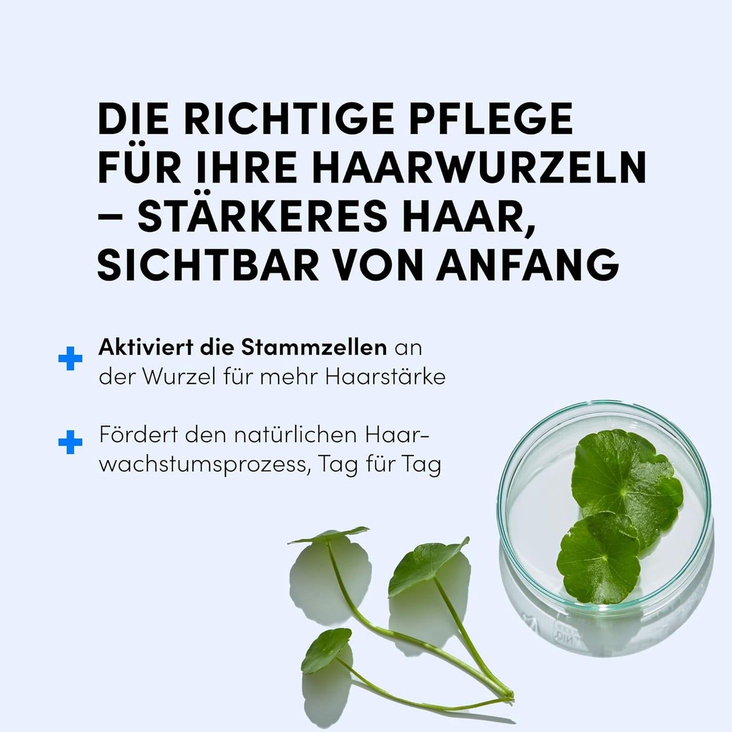 Dr. Balwi Microneedling-Roller & Hair Growth SerumSet – Anti Haarausfall, stärkt Haarwurzeln, fördert Haarwachstum mit Procapil™ & Stammzellen, ohne Silikone & Parabene, 10x6ml Flacon