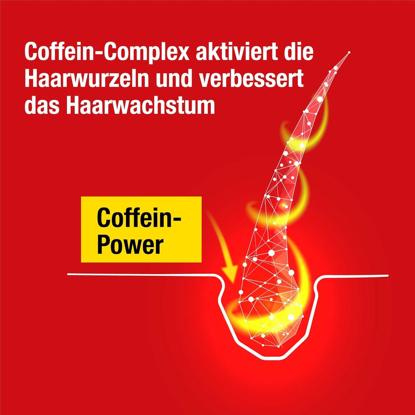 Alpecin Caffeine Shampoo C1 + Alpecin Caffeine Liquid in Set - 1 x 250 ml + 1 x 200 ml - The Hair Energiser Set of Shampoo and Hair Water Against Hereditary Hair Loss in Men