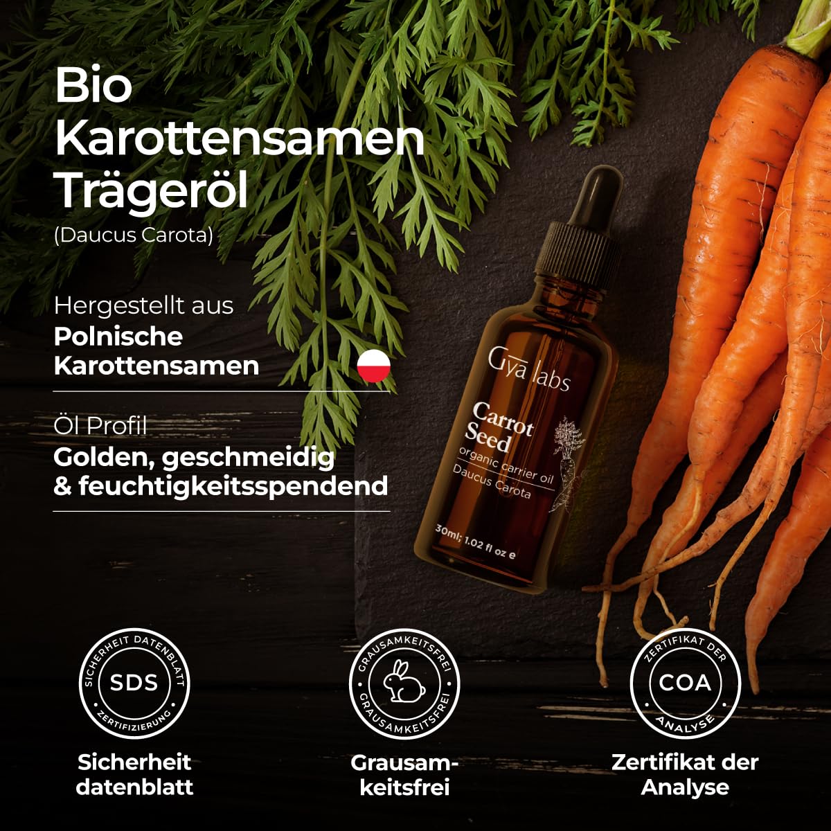 Gya Labs Organic Pumpkin