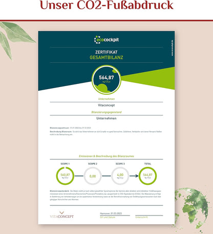 Vitaconcept | Sägepalme und Kürbiskern (5% Phytosterole) | 500 mg pro Kapsel | 120 hochdosierte Kapseln | Sägepalmenextrakt + Kürbiskernextrakt | laborgeprüft