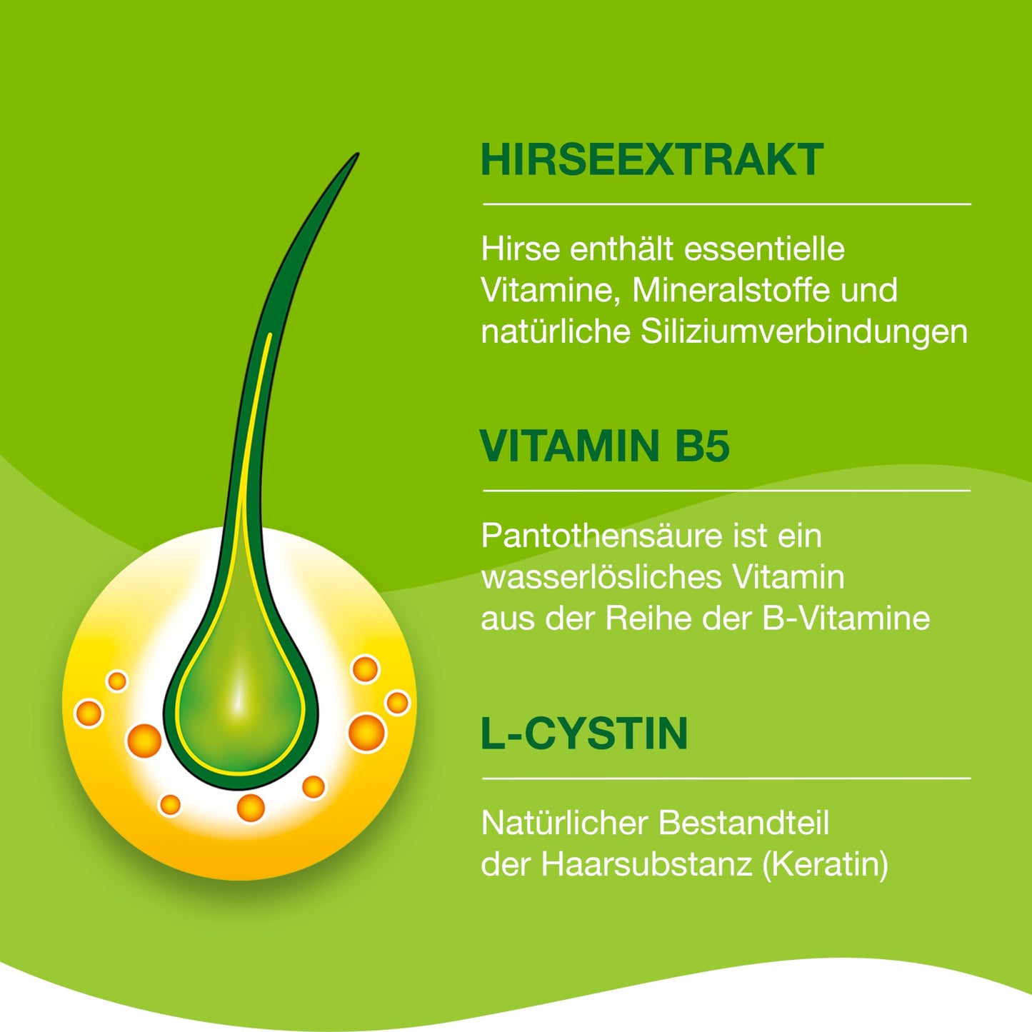 Priorin Kapseln - Haarkapseln mit Nährstoffen für die Haarwurzeln - bei hormonell erblich bedingtem Haarausfall und Haarwachstumsstörungen - 1 x 120 Kapseln