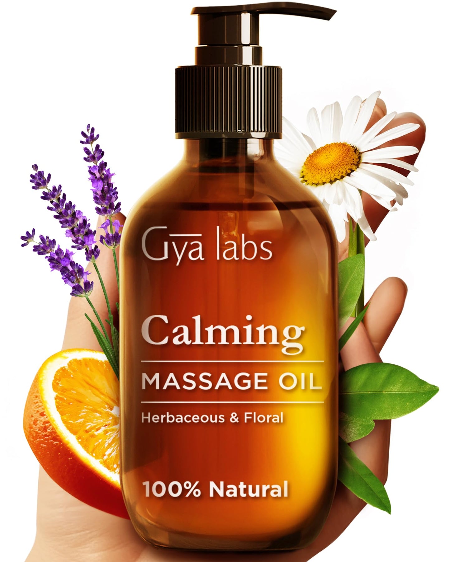 Gya Labs Lavendel Massageöle - 100% Reines Natürliches Aromatherapie Massageöl zur Körperentspannung für Männer und Frauen - Hergestellt mit Jojoba, Argan und Lavendel