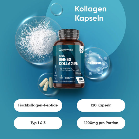 Weightworld Naticol Collagen Capsules, 1170 mg, Pure Marine Collagen, 120 Capsules, Hydrolysate Type 1, Laboratory Tested in Germany, with Pure Collagen Protein Powder