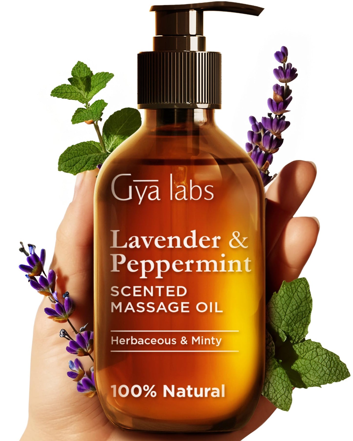 Gya Labs Lavendel Massageöle - 100% Reines Natürliches Aromatherapie Massageöl zur Körperentspannung für Männer und Frauen - Hergestellt mit Jojoba, Argan und Lavendel