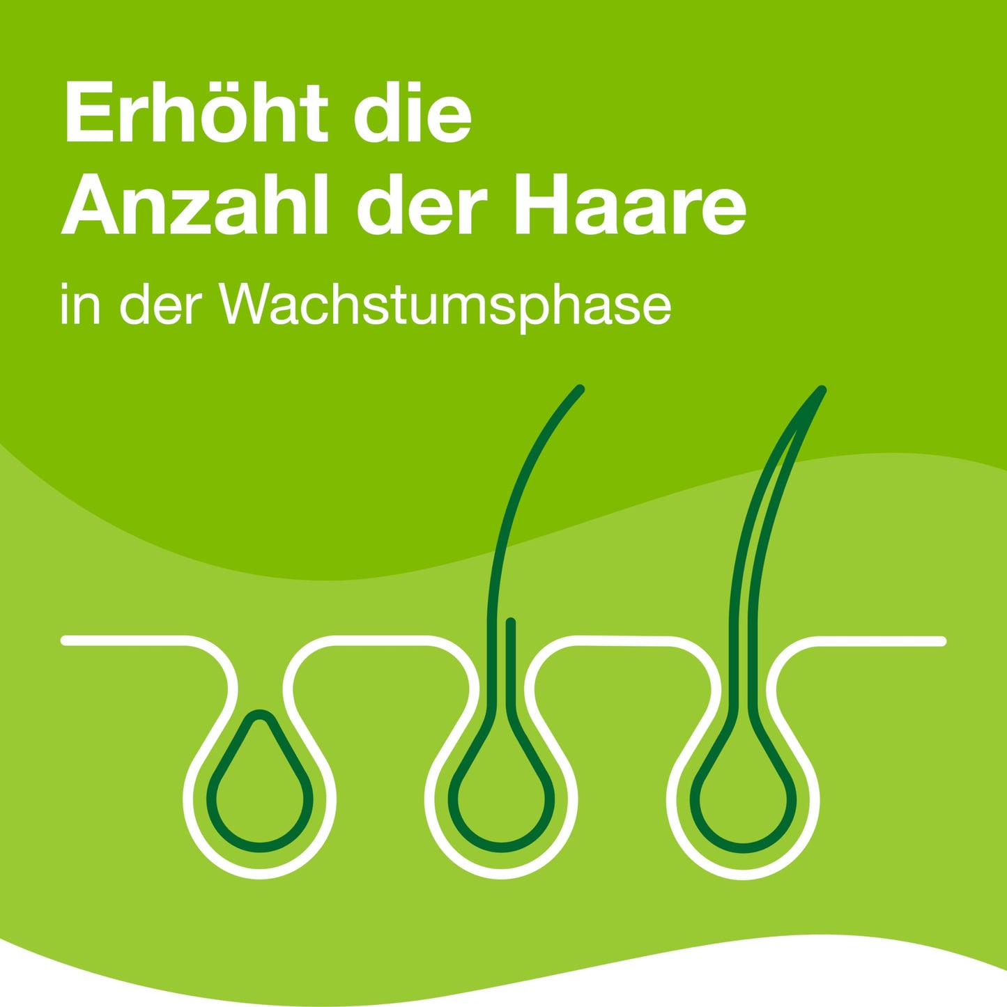 Priorin Kapseln - Haarkapseln mit Nährstoffen für die Haarwurzeln - bei hormonell erblich bedingtem Haarausfall und Haarwachstumsstörungen - 1 x 120 Kapseln