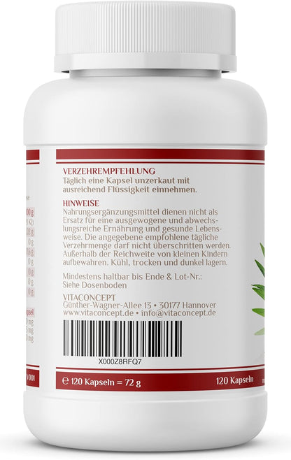 Vitaconcept | Sägepalme und Kürbiskern (5% Phytosterole) | 500 mg pro Kapsel | 120 hochdosierte Kapseln | Sägepalmenextrakt + Kürbiskernextrakt | laborgeprüft