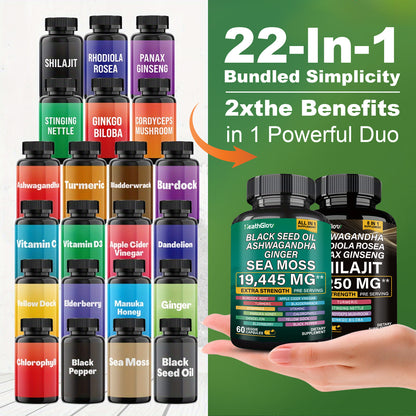 Xilaizhi Seaweed Combination Set