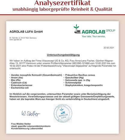 Vitaconcept | Sägepalme und Kürbiskern (5% Phytosterole) | 500 mg pro Kapsel | 120 hochdosierte Kapseln | Sägepalmenextrakt + Kürbiskernextrakt | laborgeprüft