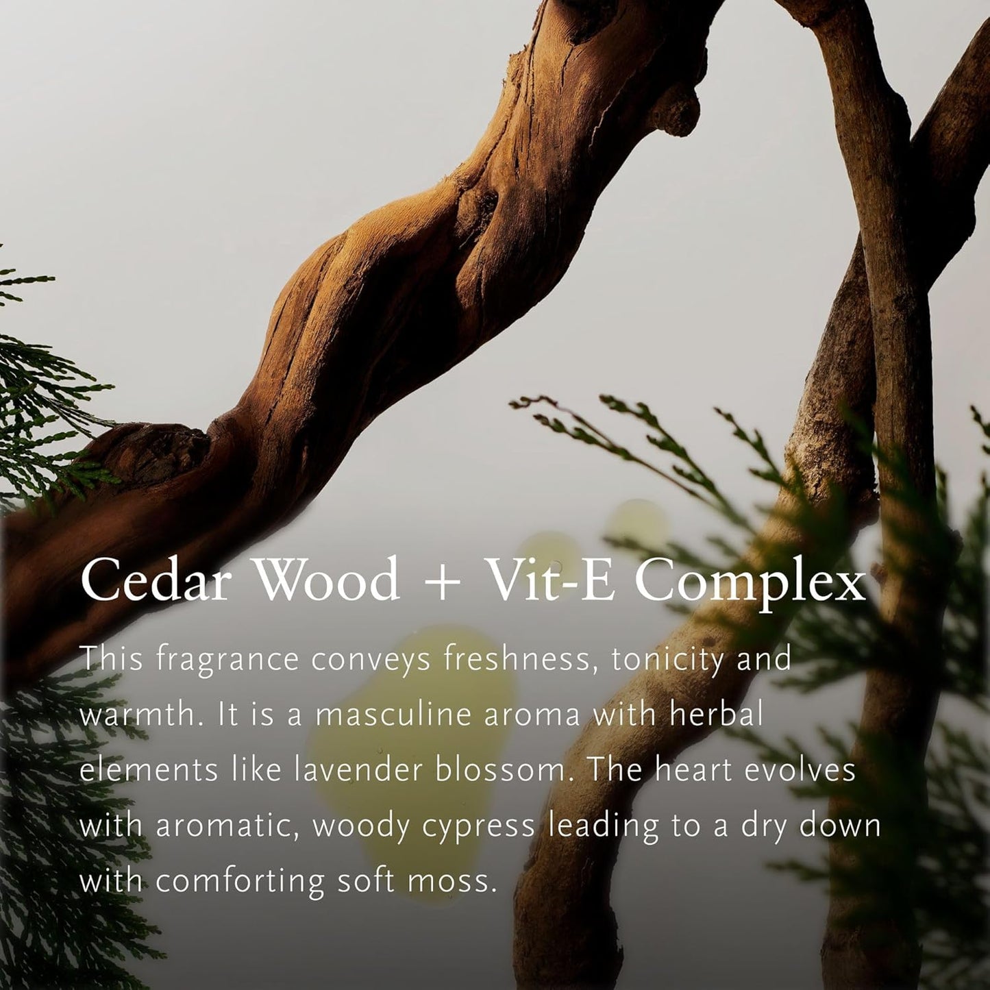 RITUALS HOMME MEDIUM SET 2023 Geschenk-Set M