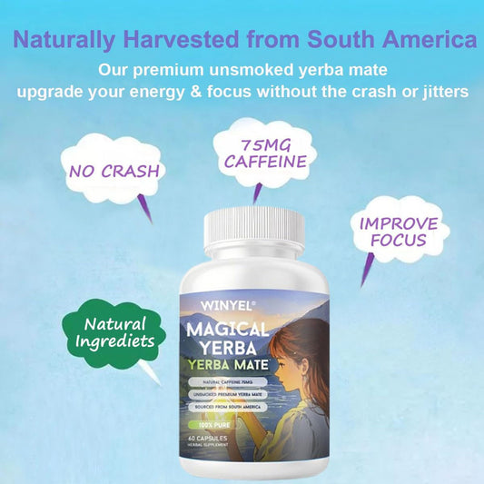 WINYEL Yerba Mate Capsules 75mg Natural Caffeine Per Capsule Natural Plant-Based Energy & Focus Support Supports Mental Clarity & Digestive Wellness Gut Health 60 Capsules