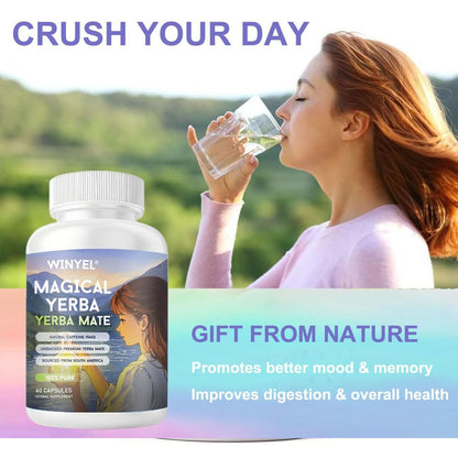 WINYEL Yerba Mate Capsules 75mg Natural Caffeine Per Capsule Natural Plant-Based Energy & Focus Support Supports Mental Clarity & Digestive Wellness Gut Health 60 Capsules