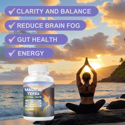 WINYEL Yerba Mate Capsules 75mg Natural Caffeine Per Capsule Natural Plant-Based Energy & Focus Support Supports Mental Clarity & Digestive Wellness Gut Health 60 Capsules